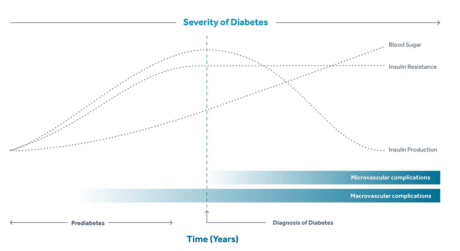 Severity of Diabetes