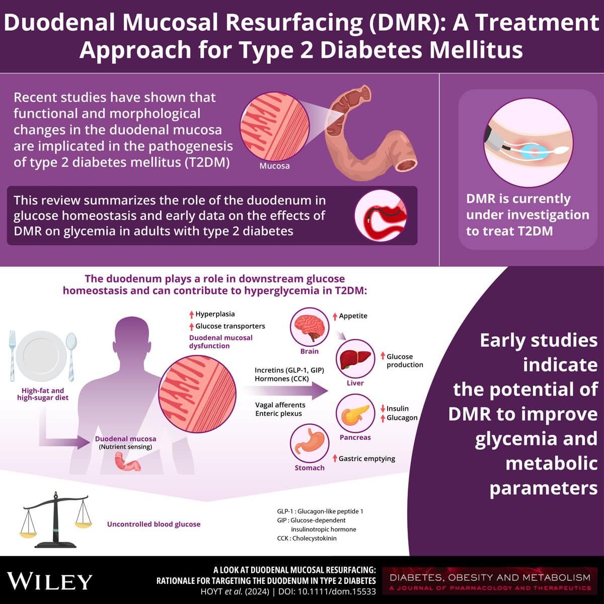 Duodenal Mucosal Resurvacing (DMR): A treatment Approach for Type 2 Diabetes Mellitus